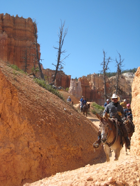 Encountering horseback riders on the narrow paths high in Bryce Canyon