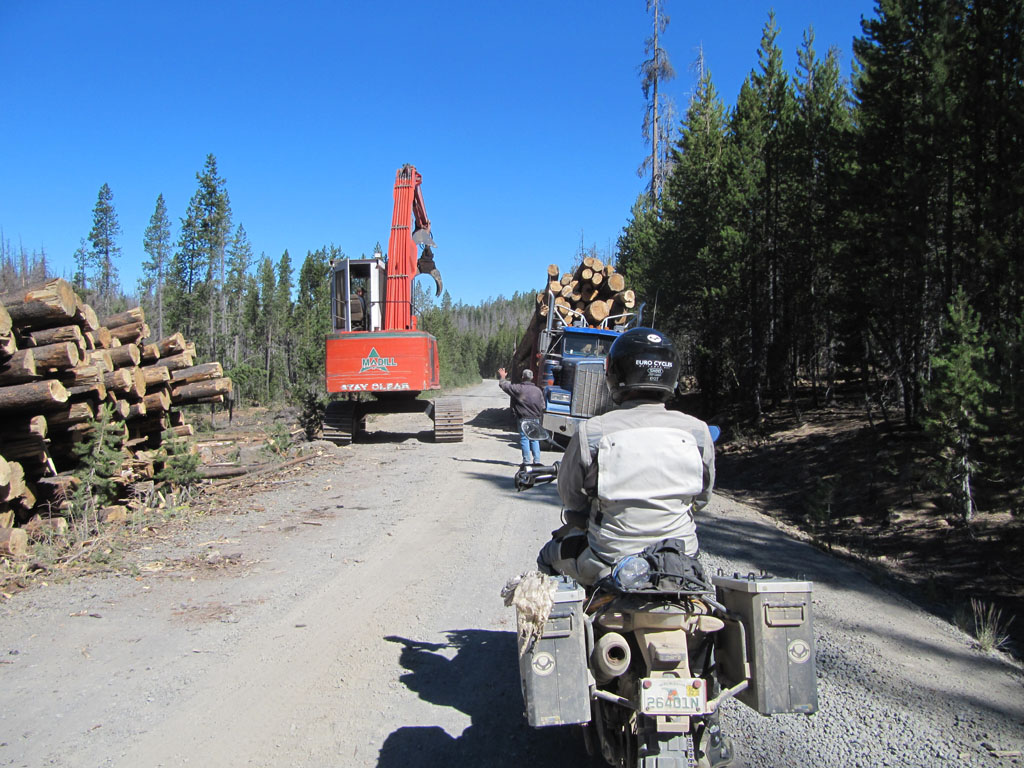 Stopped by logging