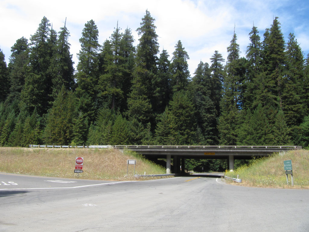 Start of Avenue of the Giants