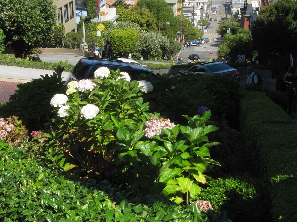 The infamous windy bit of Lombard Street