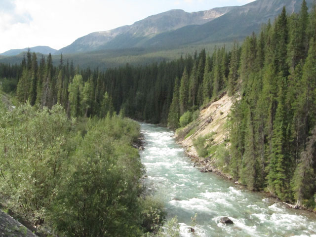 The Maligne river, Jasper National Park