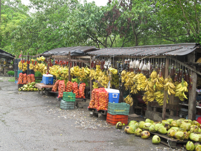 Roadside fruit stall, rural Mexico...