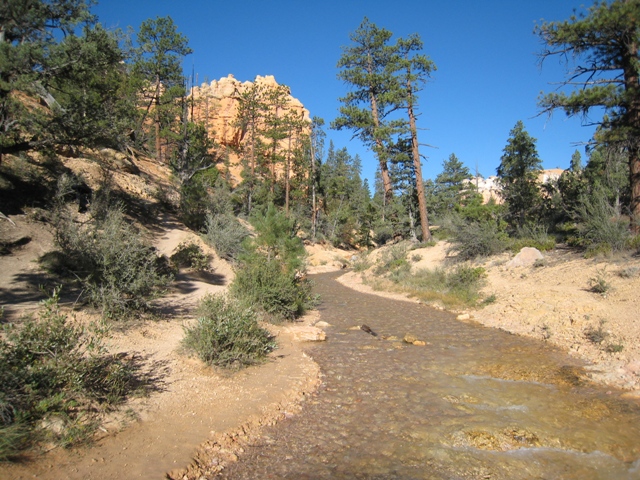 The stream Ebenezer Bryce made sure carried water all year round… 110 years ago…