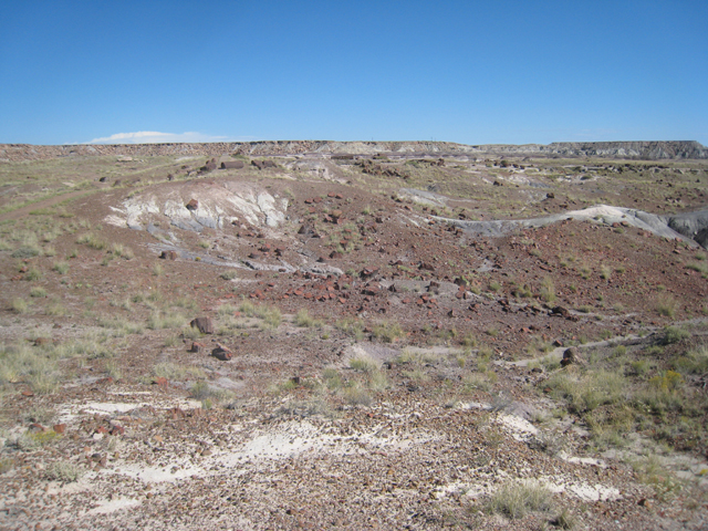 The petrified forest – not quite what we initially expected…